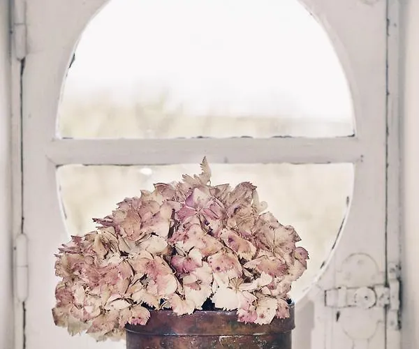 Les Du Chateau Du Rozel Bed and Breakfast